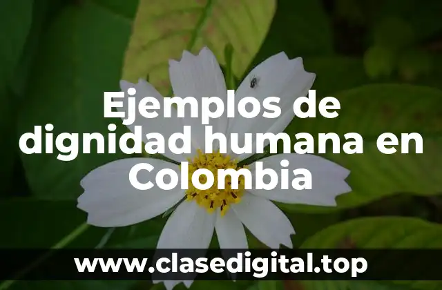 Ejemplos de dignidad humana en Colombia