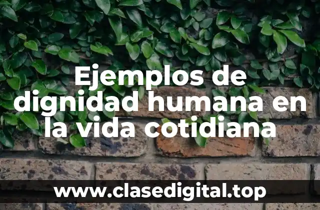 Ejemplos de dignidad humana en la vida cotidiana