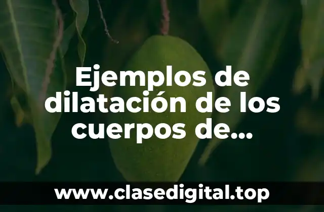 Ejemplos de dilatación de los cuerpos de proyectos formativo