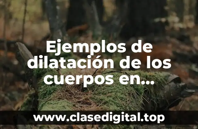 Ejemplos de dilatación de los cuerpos en problemas