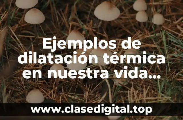 Ejemplos de dilatación térmica en nuestra vida cotidiana