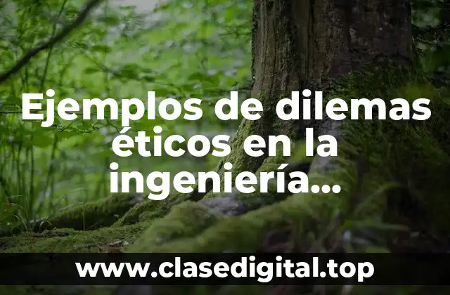 Ejemplos de dilemas éticos en la ingeniería biomedica y Significado