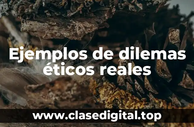 Ejemplos de dilemas éticos reales