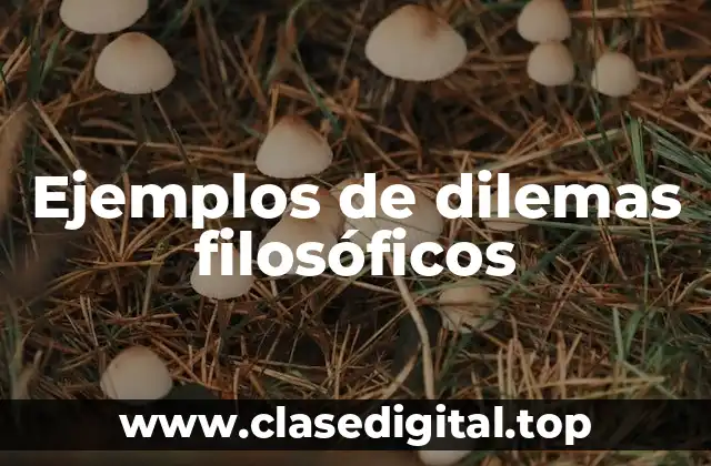 Ejemplos de dilemas filosóficos
