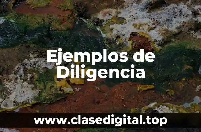 Ejemplos de Diligencia