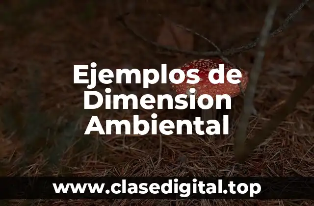 Ejemplos de Dimension Ambiental