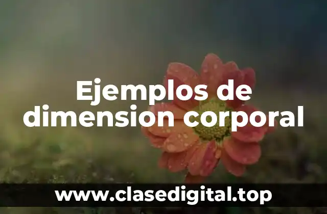 Ejemplos de dimension corporal