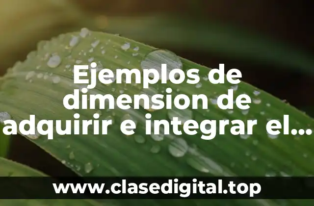 Ejemplos de dimension de adquirir e integrar el conocimiento