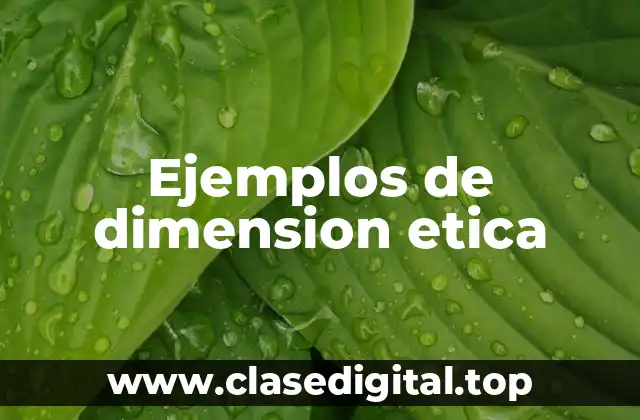 Ejemplos de dimension etica