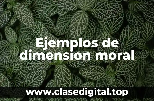 Ejemplos de dimensión moral