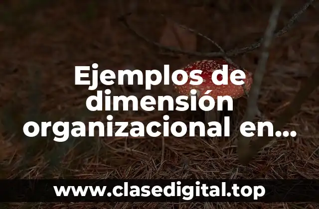 Ejemplos de dimensión organizacional en una escuela