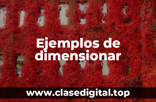 Ejemplos de dimensionar