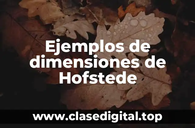 Ejemplos de dimensiones de Hofstede