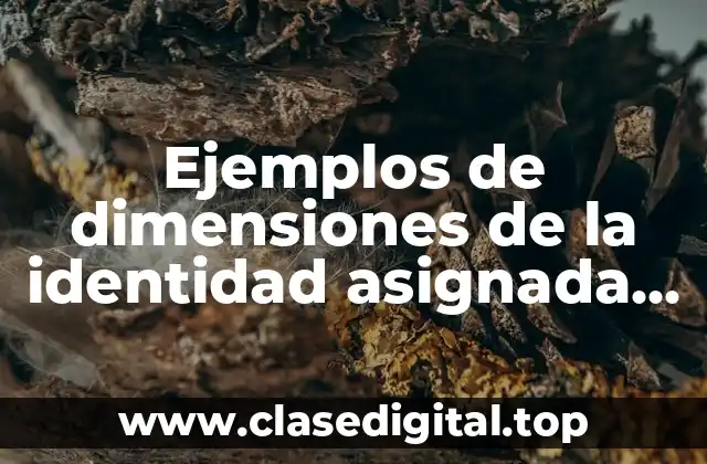 Ejemplos de dimensiones de la identidad asignada, adquirida e