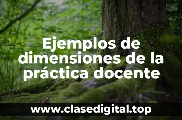 Ejemplos de dimensiones de la práctica docente