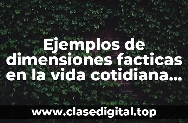Ejemplos de dimensiones facticas en la vida cotidiana y Significado