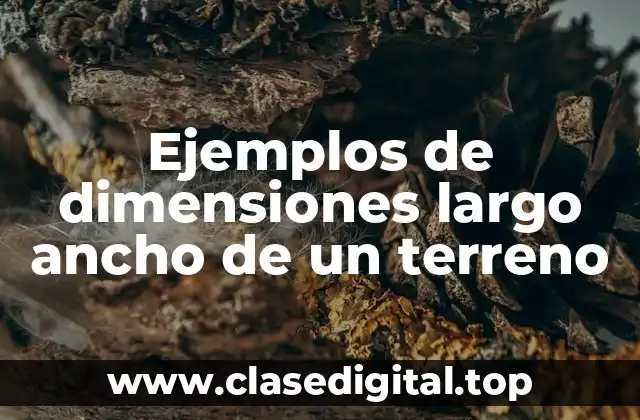 Ejemplos de dimensiones largo ancho de un terreno