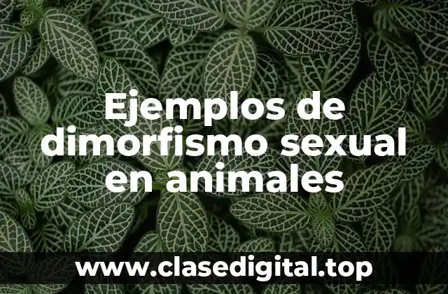Ejemplos de dimorfismo sexual en animales