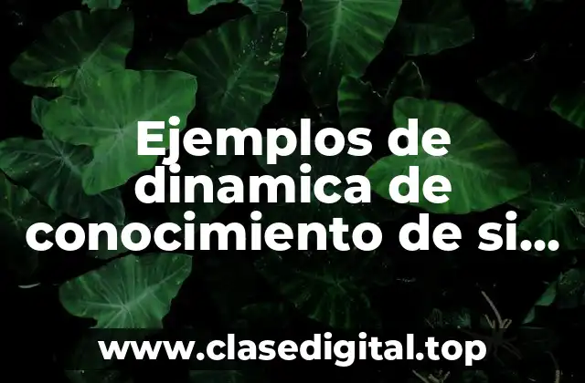 Ejemplos de dinamica de conocimiento de si mismo y Significado