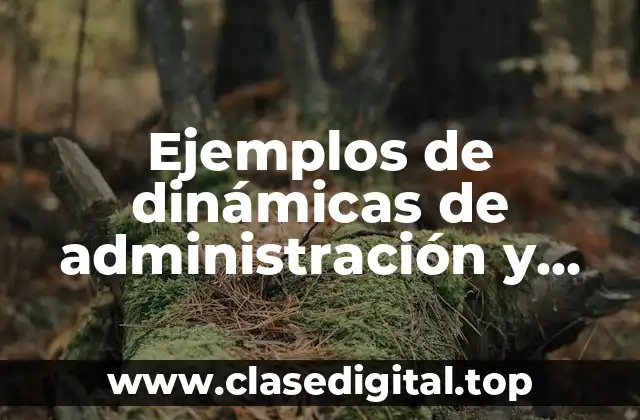 Ejemplos de dinámicas de administración y trabajo en equipo