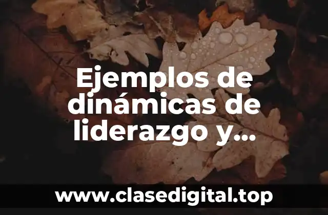 Ejemplos de dinámicas de liderazgo