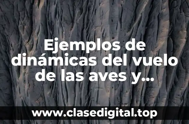Ejemplos de dinámicas del vuelo de las aves y Significado