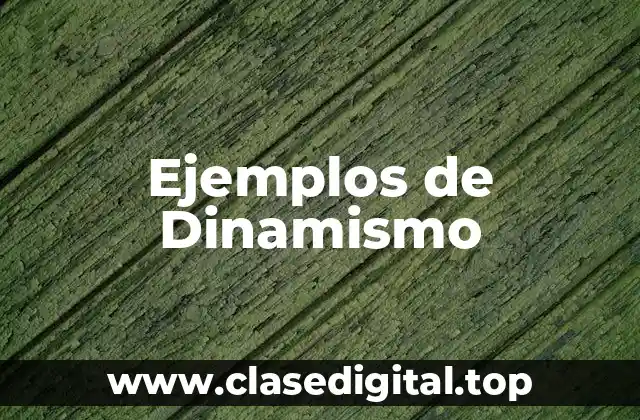 Ejemplos de Dinamismo