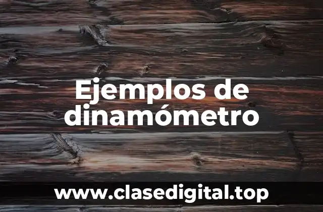 Ejemplos de dinamómetro