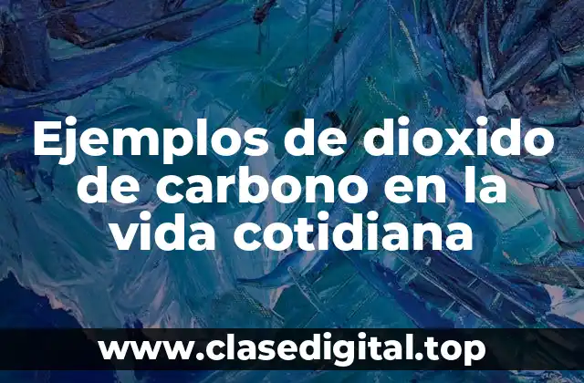 Ejemplos de dioxido de carbono en la vida cotidiana
