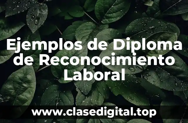 Ejemplos de Diploma de Reconocimiento Laboral