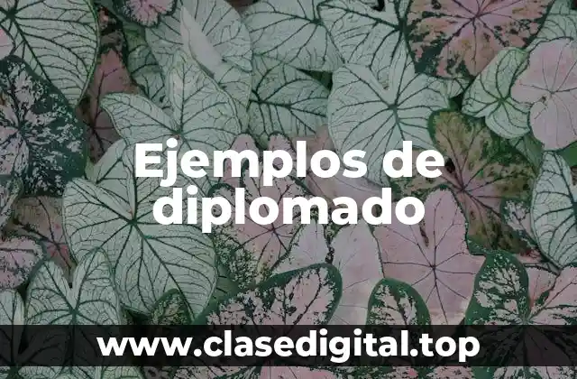 Ejemplos de diplomado