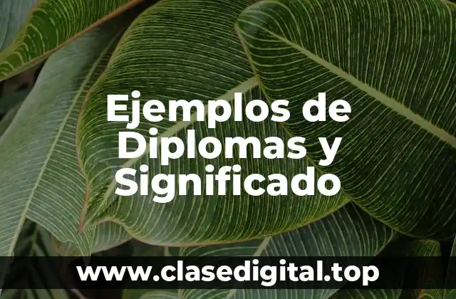 Ejemplos de Diplomas y Significado