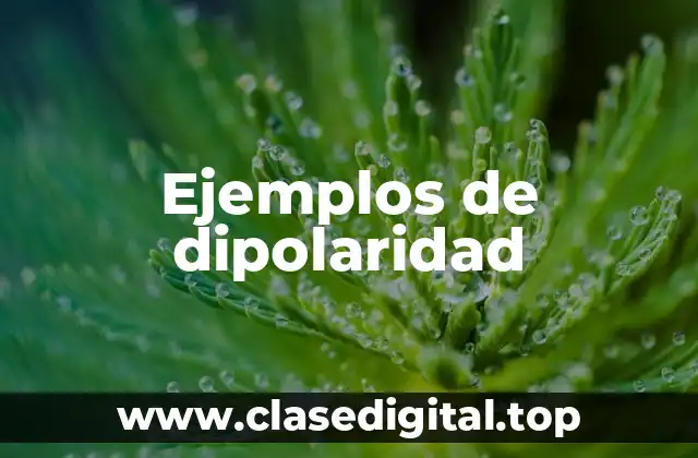 Ejemplos de dipolaridad