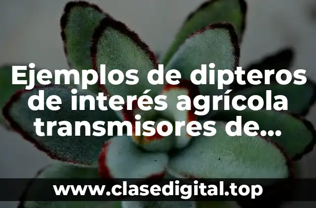 Ejemplos de dipteros de interés agrícola transmisores de enfermedades