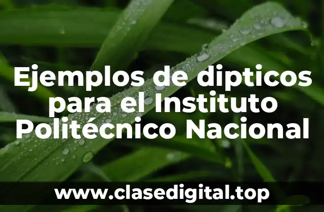 Ejemplos de dipticos para el Instituto Politécnico Nacional