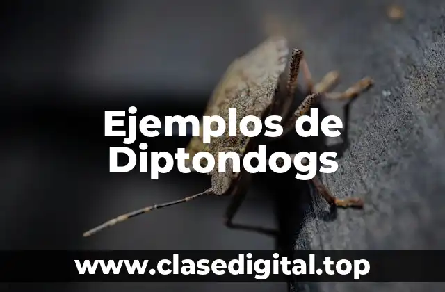 Ejemplos de Diptondogs