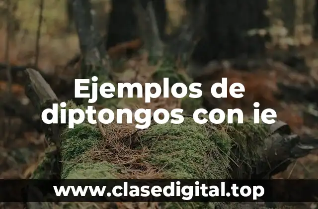 Ejemplos de diptongos con ie