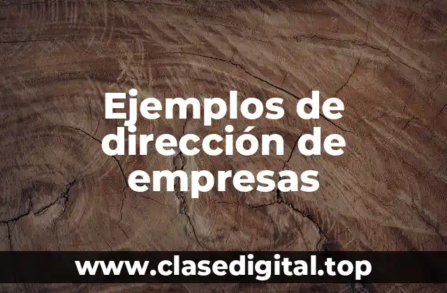 Ejemplos de dirección de empresas