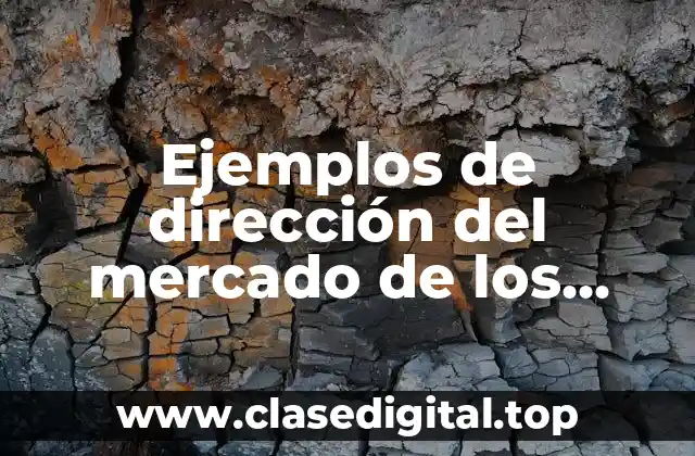 Ejemplos de dirección del mercado de los guantes