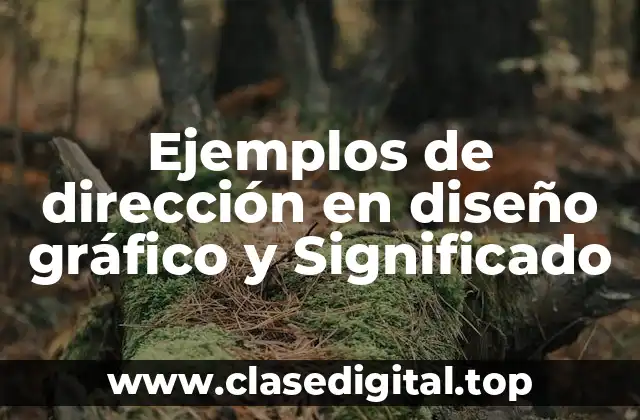 Ejemplos de dirección en diseño gráfico y Significado