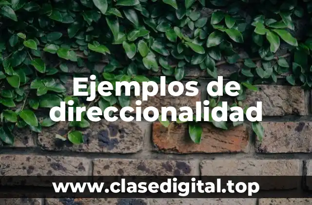 Ejemplos de direccionalidad