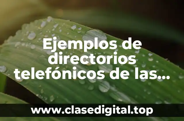 Ejemplos de directorios telefónicos de las instituciones que ofrecen servicios y Significado