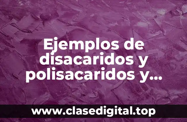 Ejemplos de disacaridos y polisacaridos y Significado