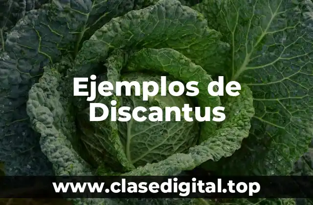 Ejemplos de Discantus