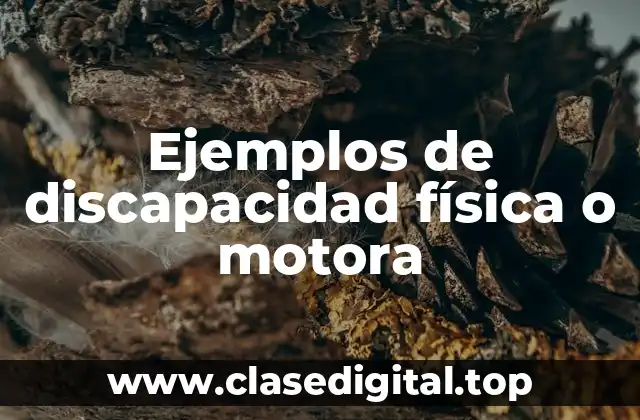 Ejemplos de discapacidad física o motora