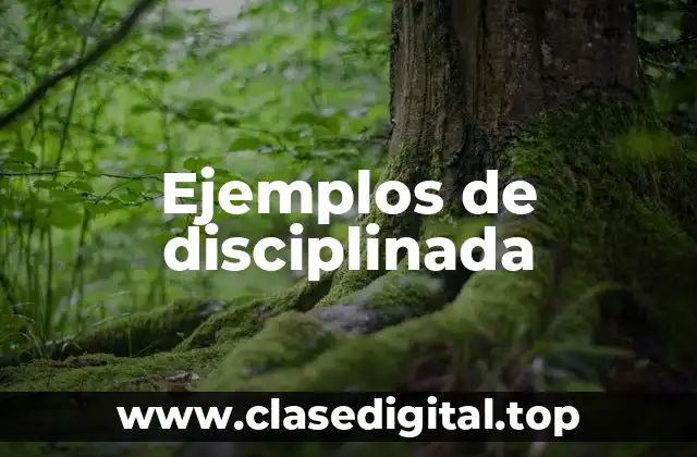 Ejemplos de disciplinada
