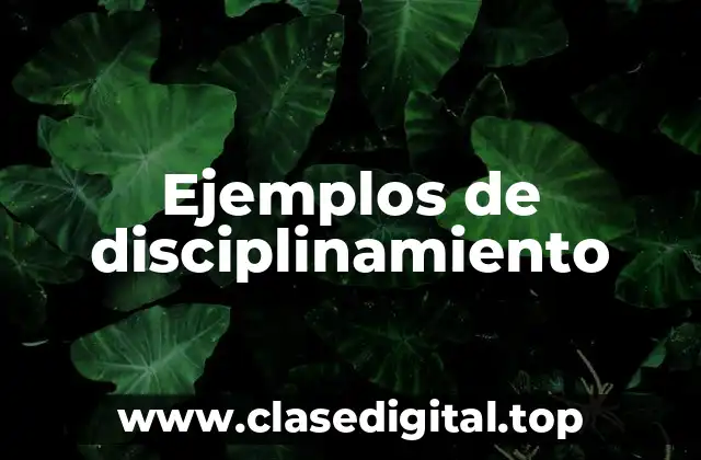 Ejemplos de disciplinamiento