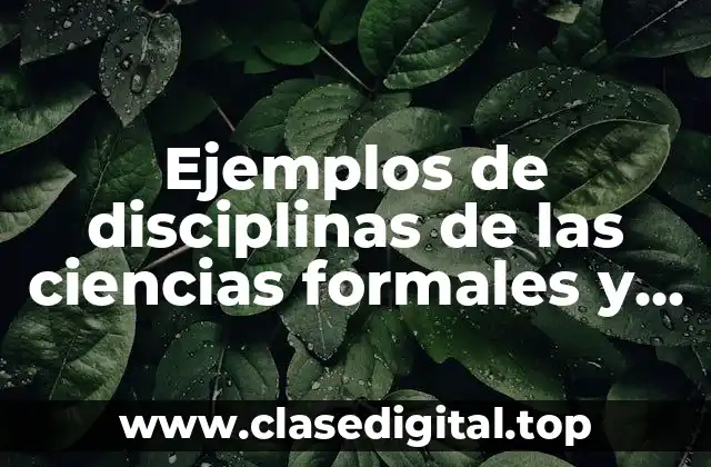 Ejemplos de disciplinas de las ciencias formales