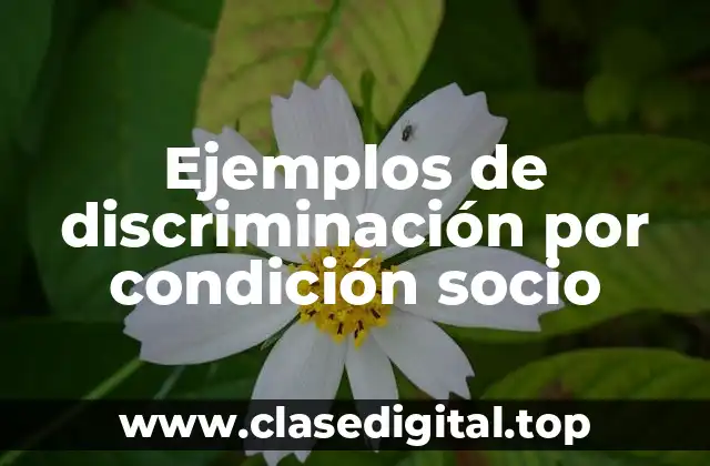 Ejemplos de discriminación por condición socio