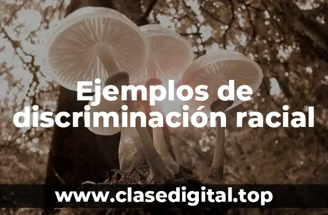 Ejemplos de discriminación racial